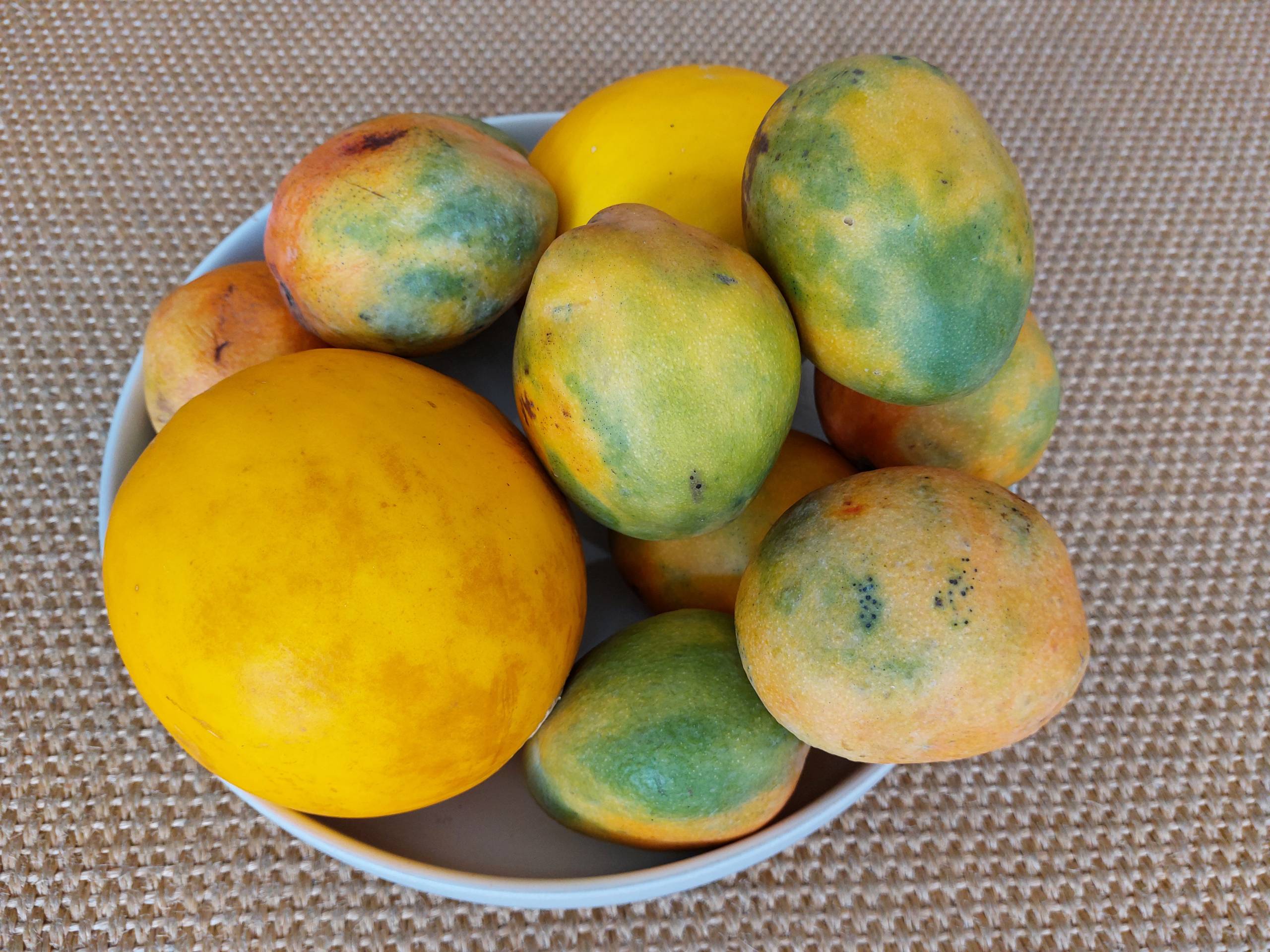 Mango and Melons