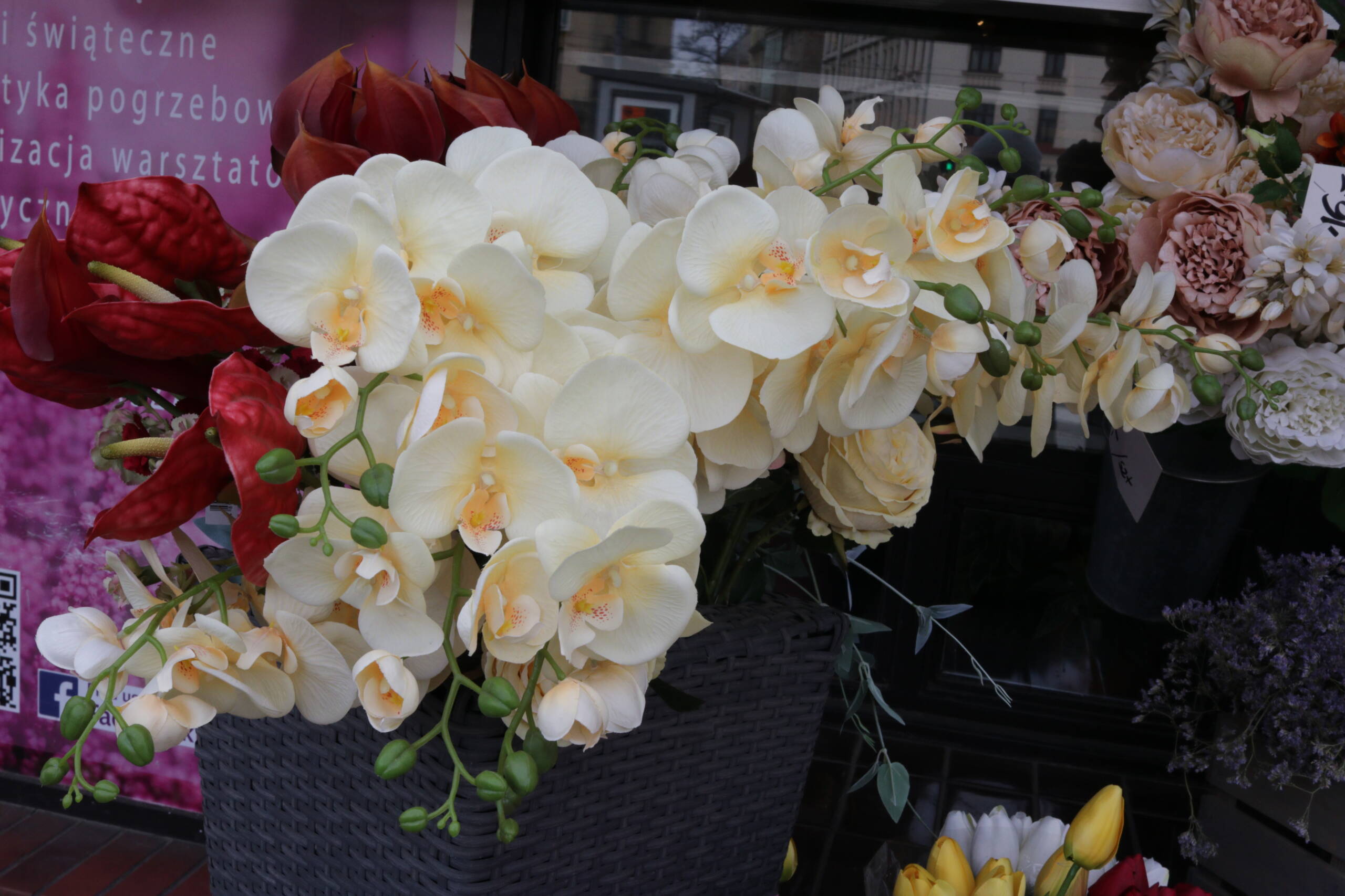In Full Bloom