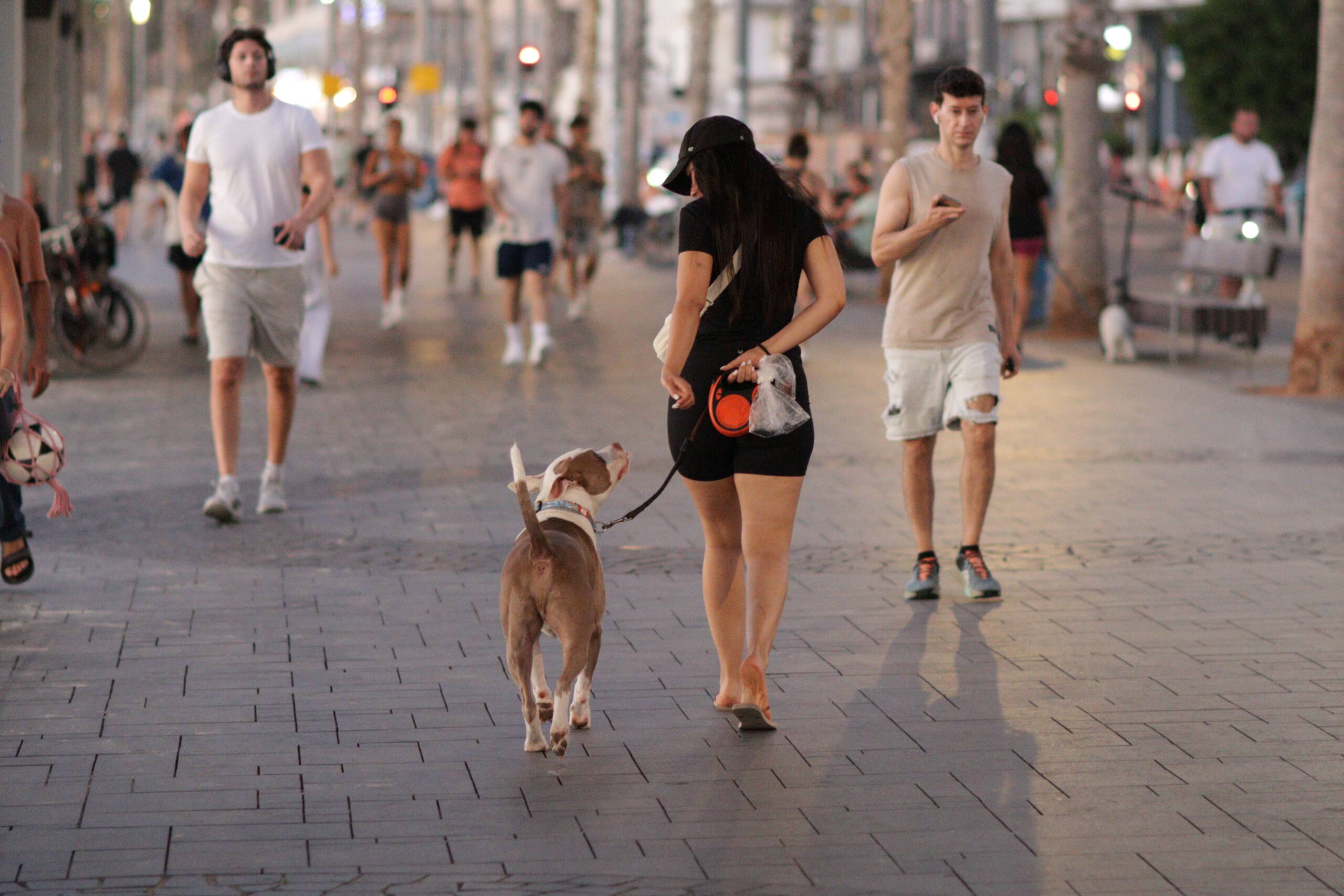 Woman walking a dog along a crowded promenade at dusk, shot on a long lens with the background compressed into bokeh