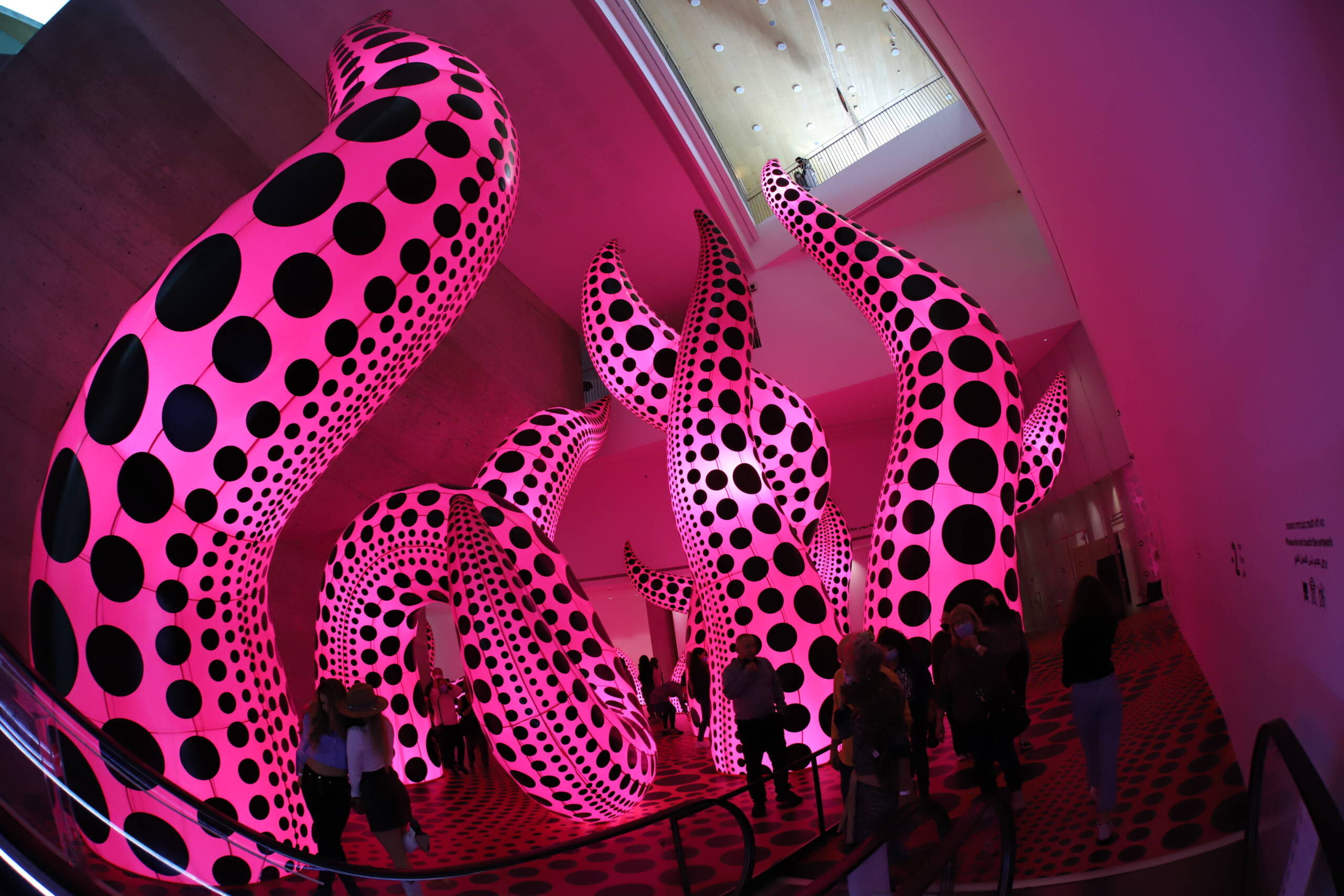 image from Yayoi Kusama Dies at 97: How the Infinity Mirror Rooms Rebuilt the Museum Around the Photograph