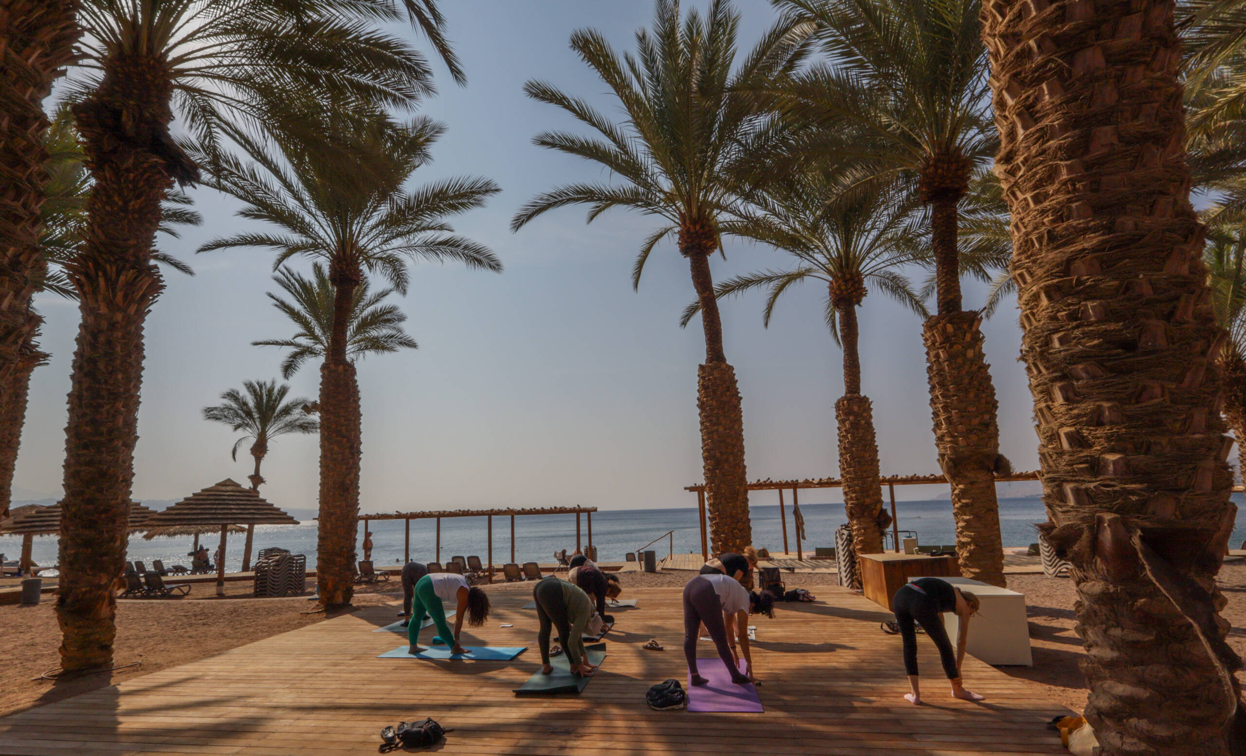 Morning yoga class on a beach deck between date palms